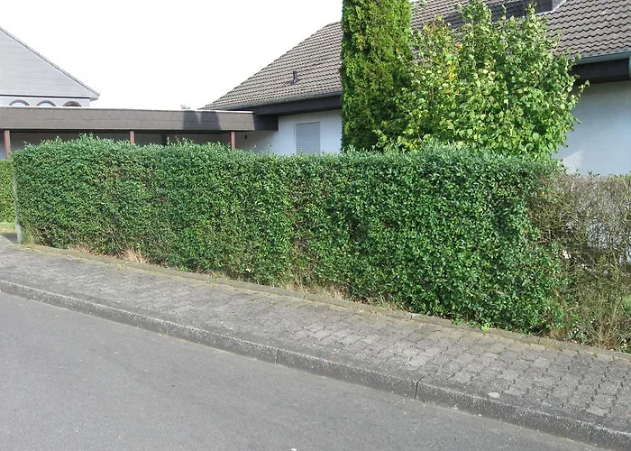 Auf Dem Buenberg アパート ベーブラ